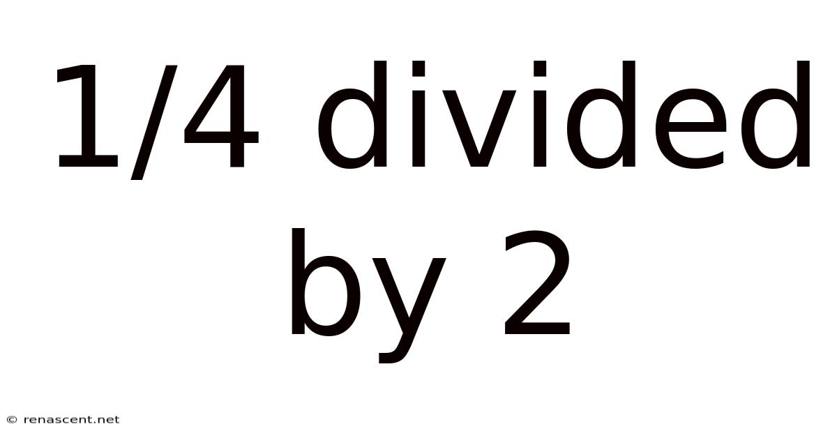 1/4 Divided By 2