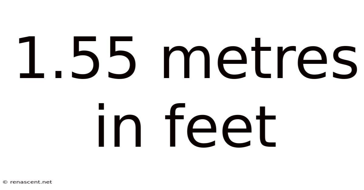 1.55 Metres In Feet