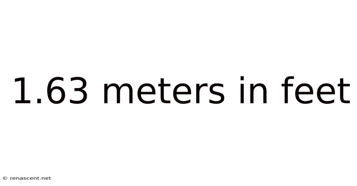 1.63 Meters In Feet