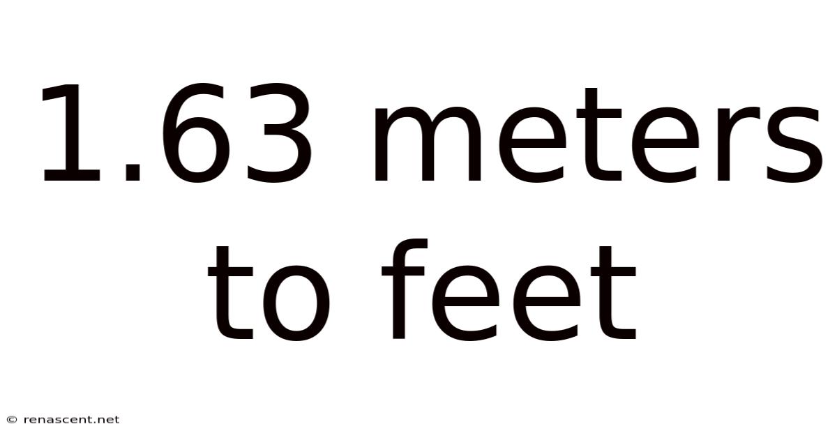 1.63 Meters To Feet