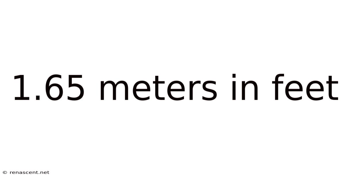 1.65 Meters In Feet
