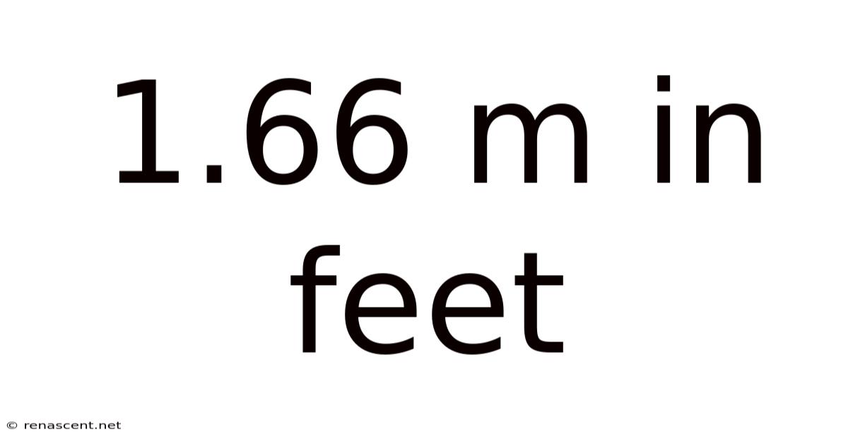 1.66 M In Feet