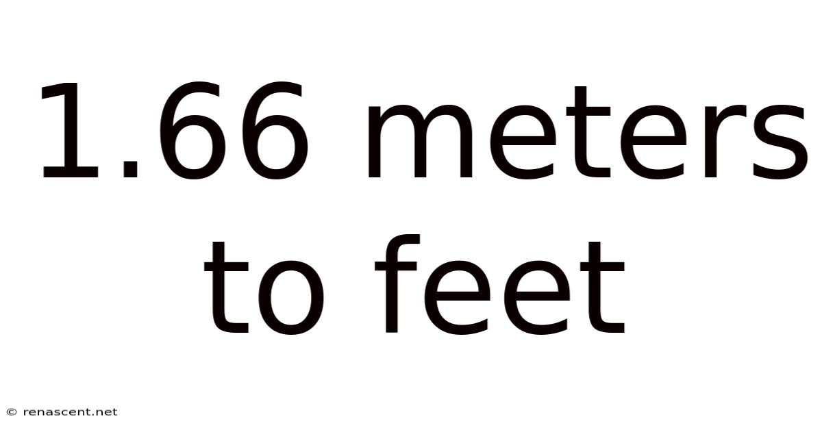1.66 Meters To Feet