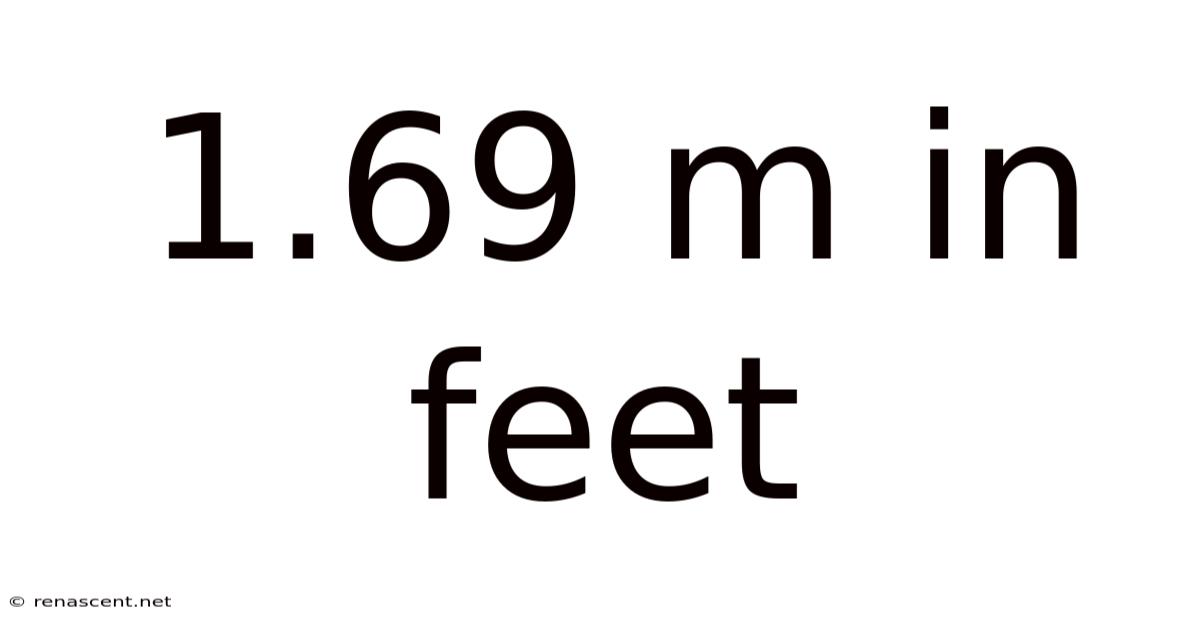 1.69 M In Feet