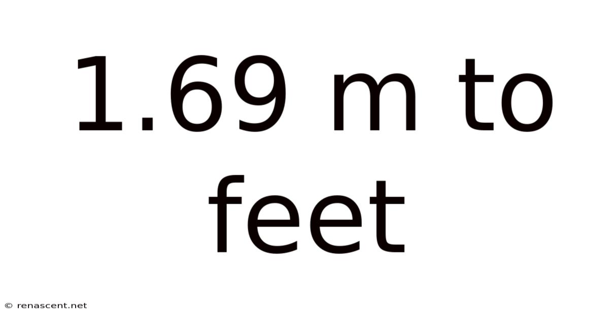 1.69 M To Feet