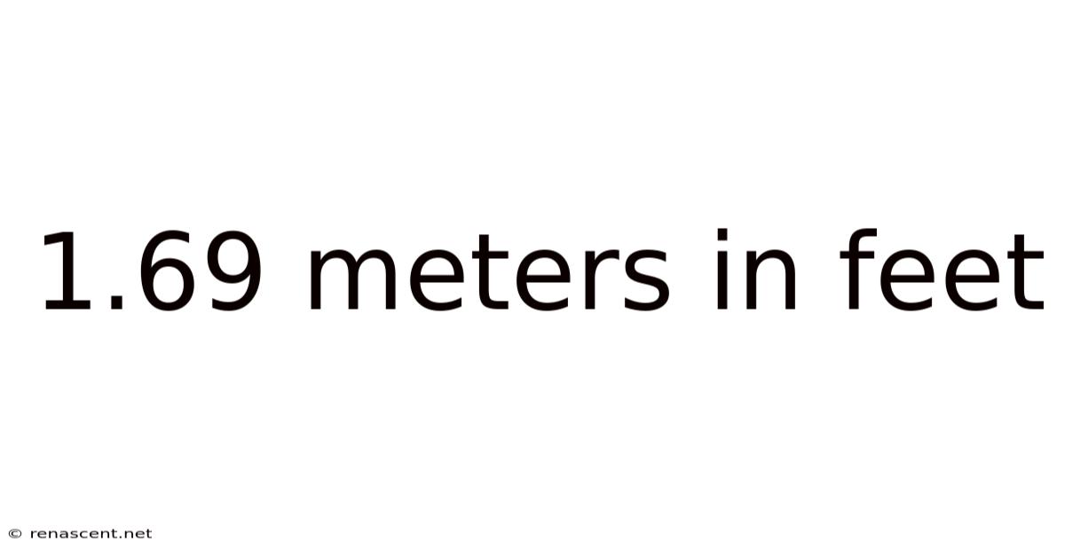 1.69 Meters In Feet
