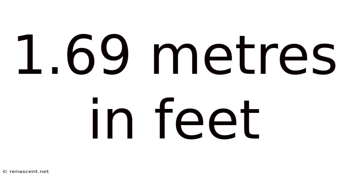 1.69 Metres In Feet