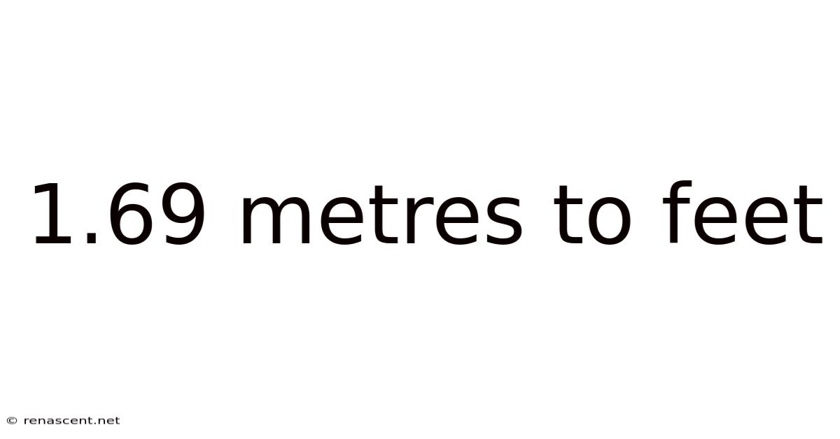 1.69 Metres To Feet