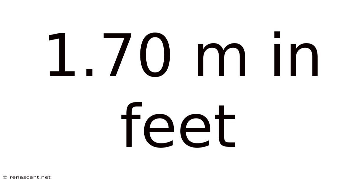 1.70 M In Feet