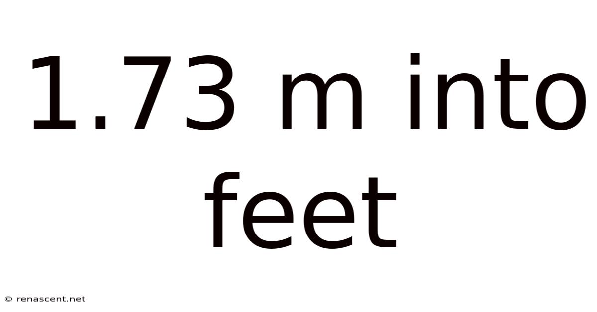 1.73 M Into Feet