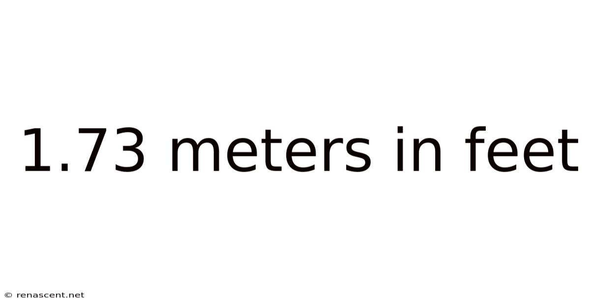 1.73 Meters In Feet