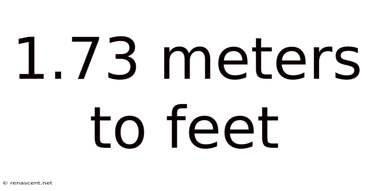 1.73 Meters To Feet