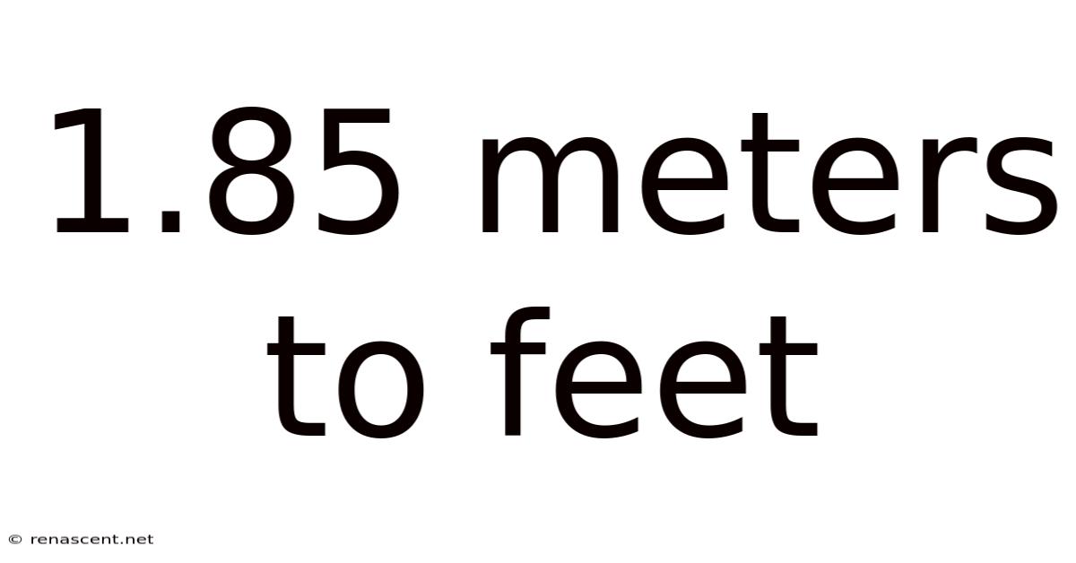1.85 Meters To Feet