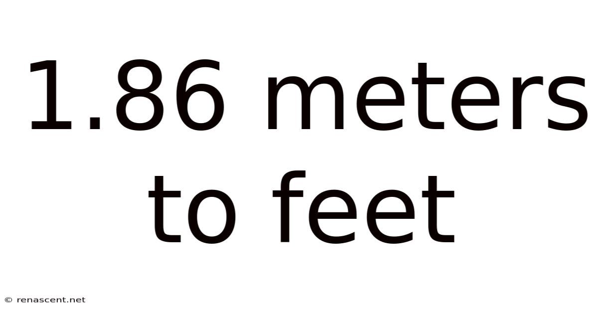 1.86 Meters To Feet
