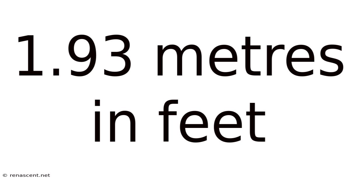 1.93 Metres In Feet