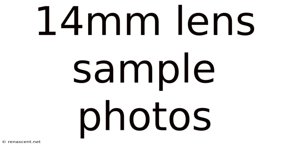 14mm Lens Sample Photos