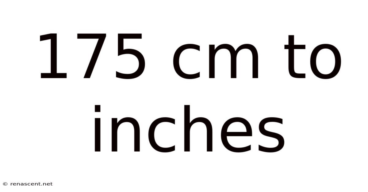 175 Cm To Inches