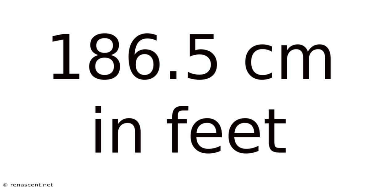 186.5 Cm In Feet