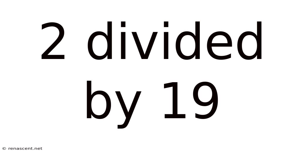 2 Divided By 19