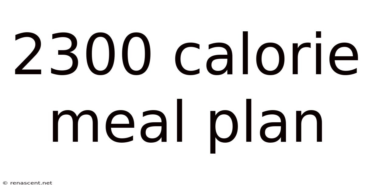 2300 Calorie Meal Plan