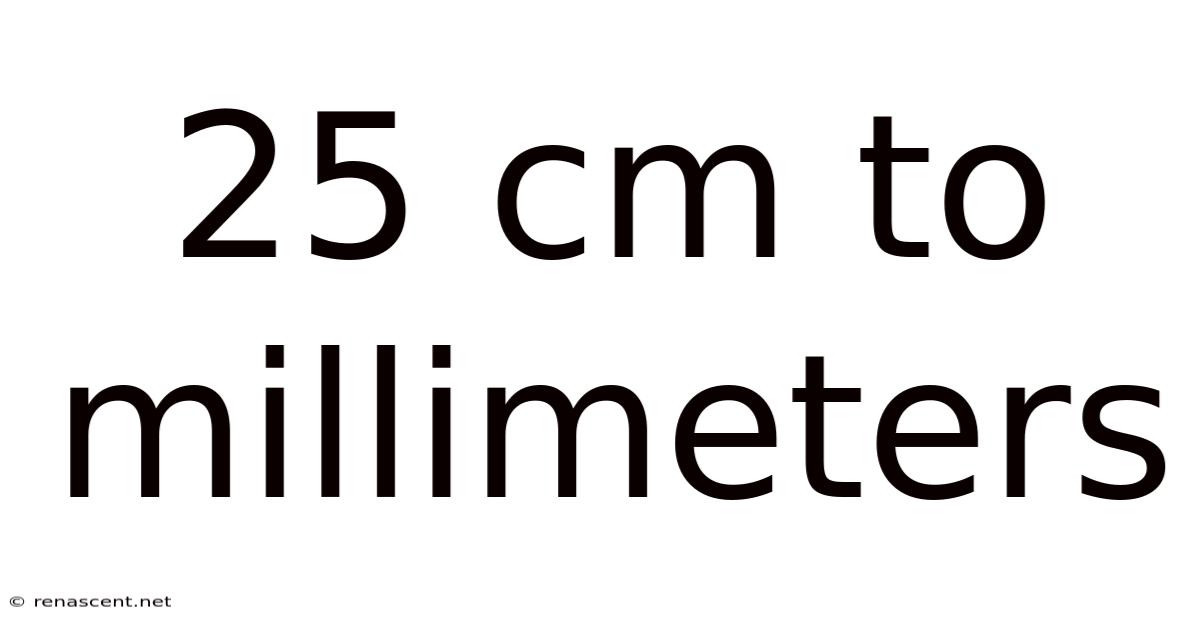 25 Cm To Millimeters