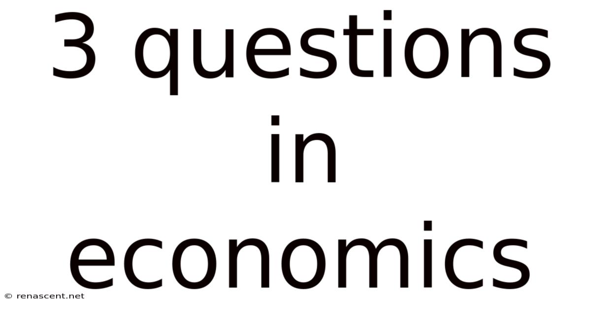 3 Questions In Economics