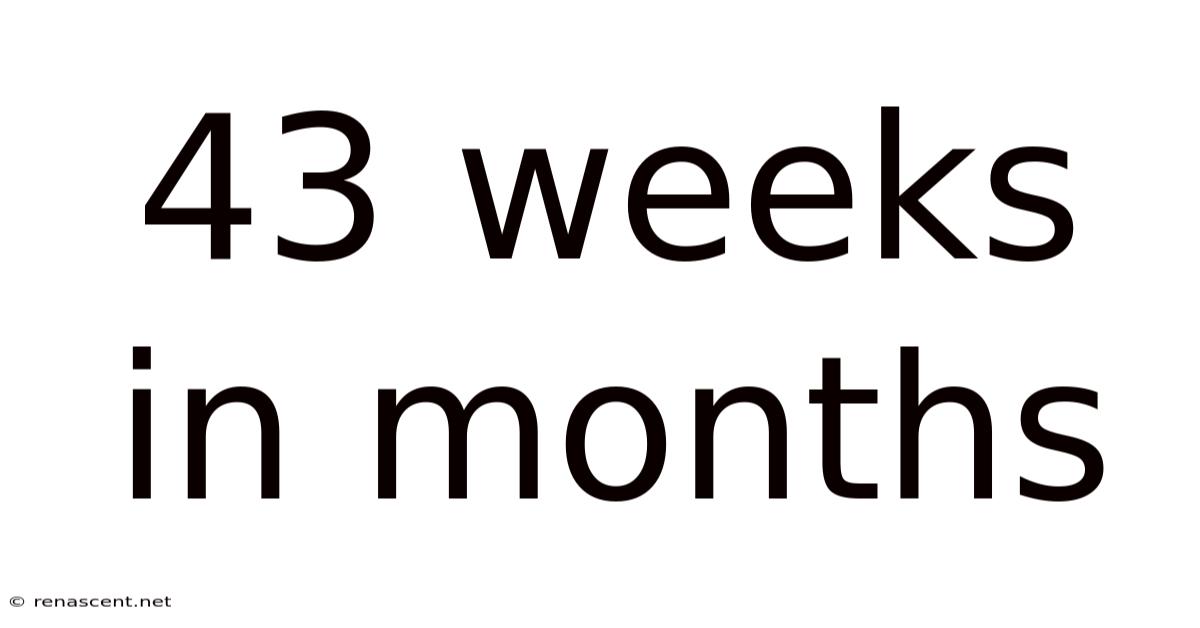 43 Weeks In Months