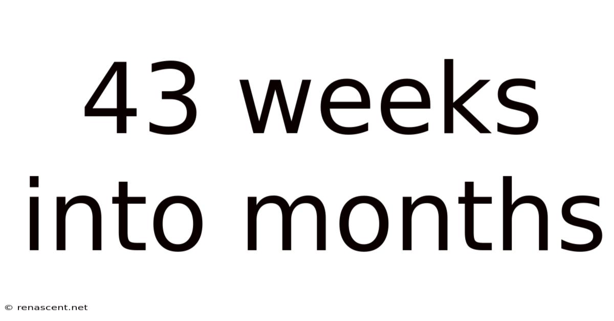43 Weeks Into Months