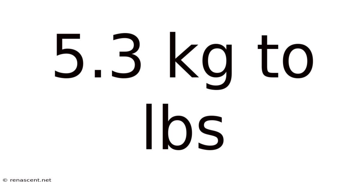 5.3 Kg To Lbs