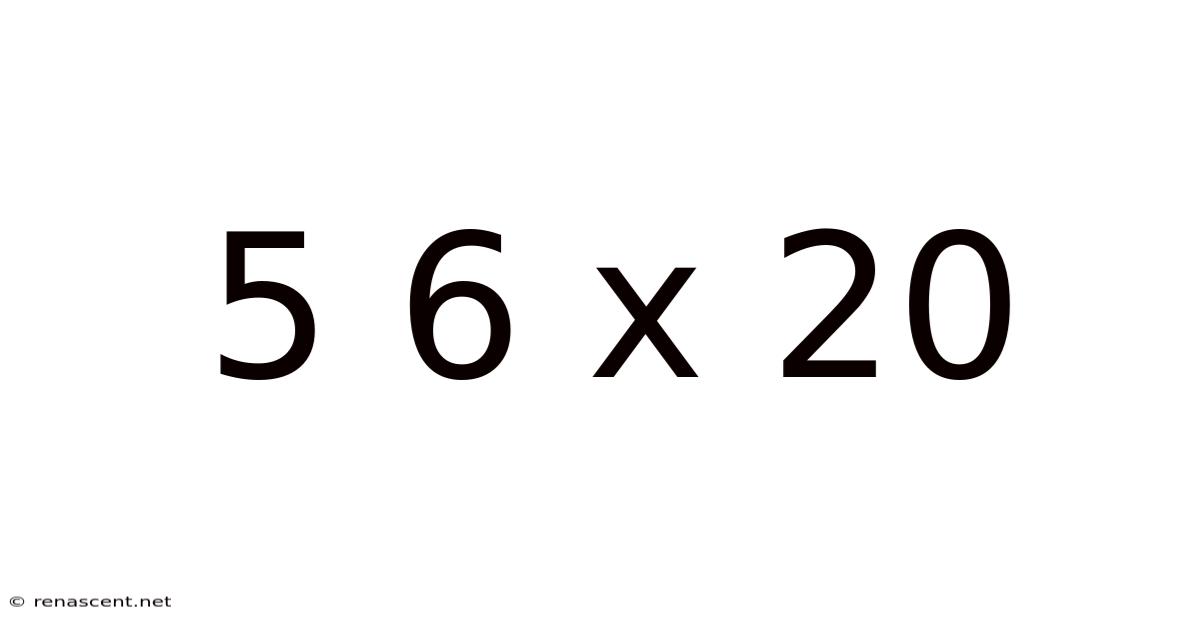 5 6 X 20