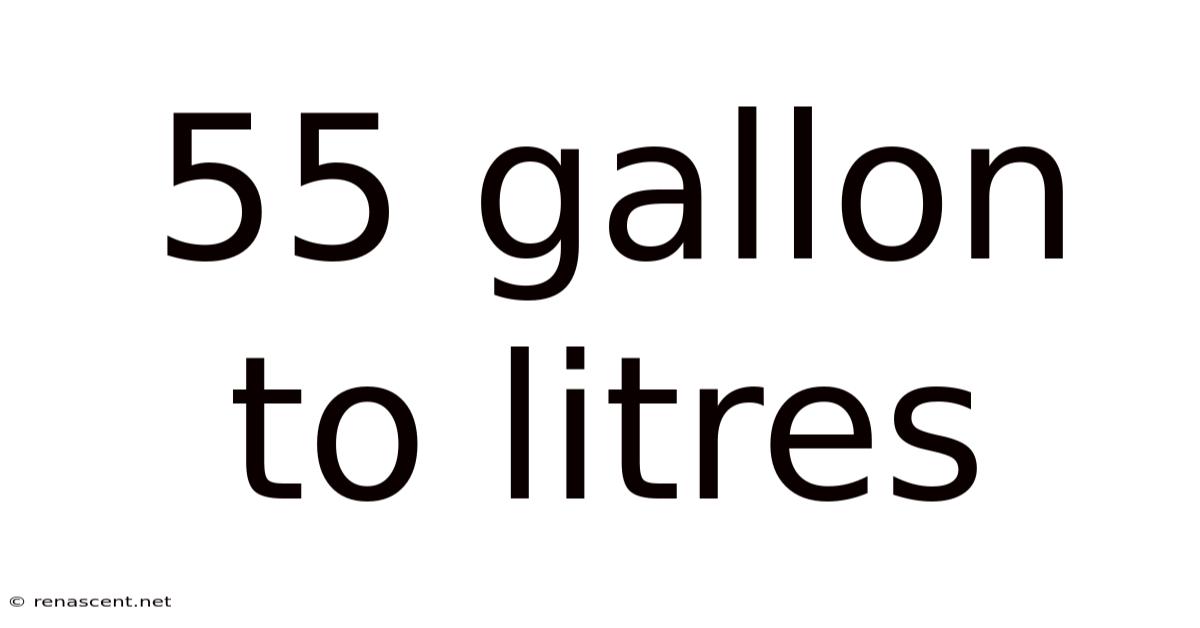 55 Gallon To Litres