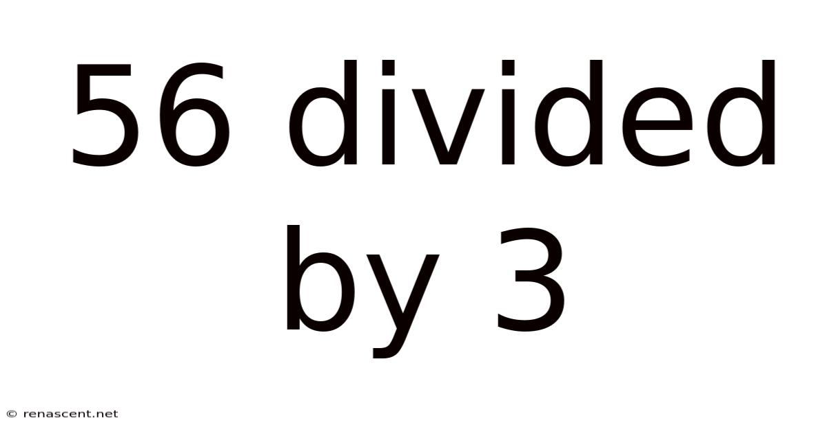 56 Divided By 3