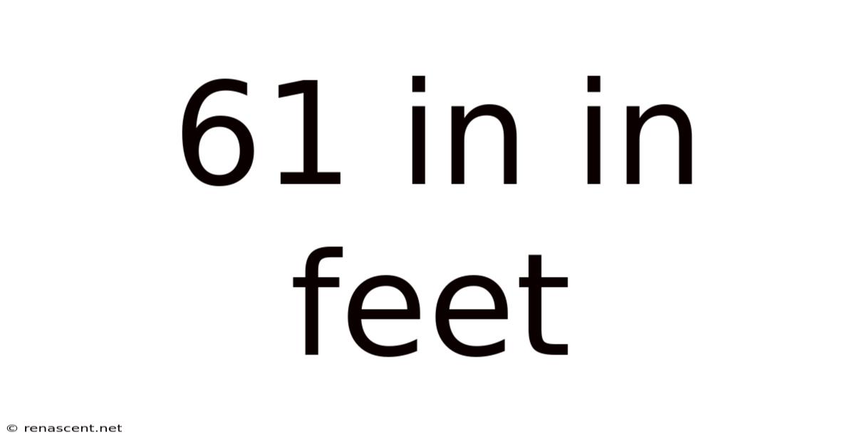61 In In Feet