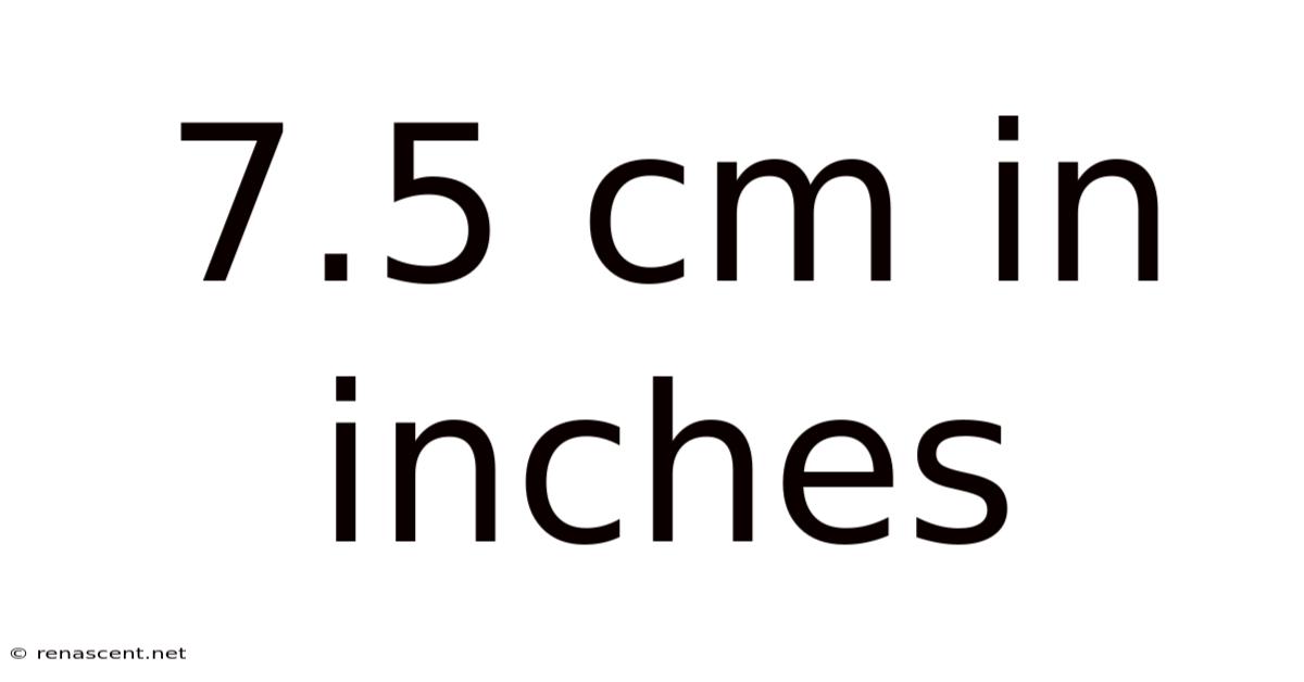 7.5 Cm In Inches