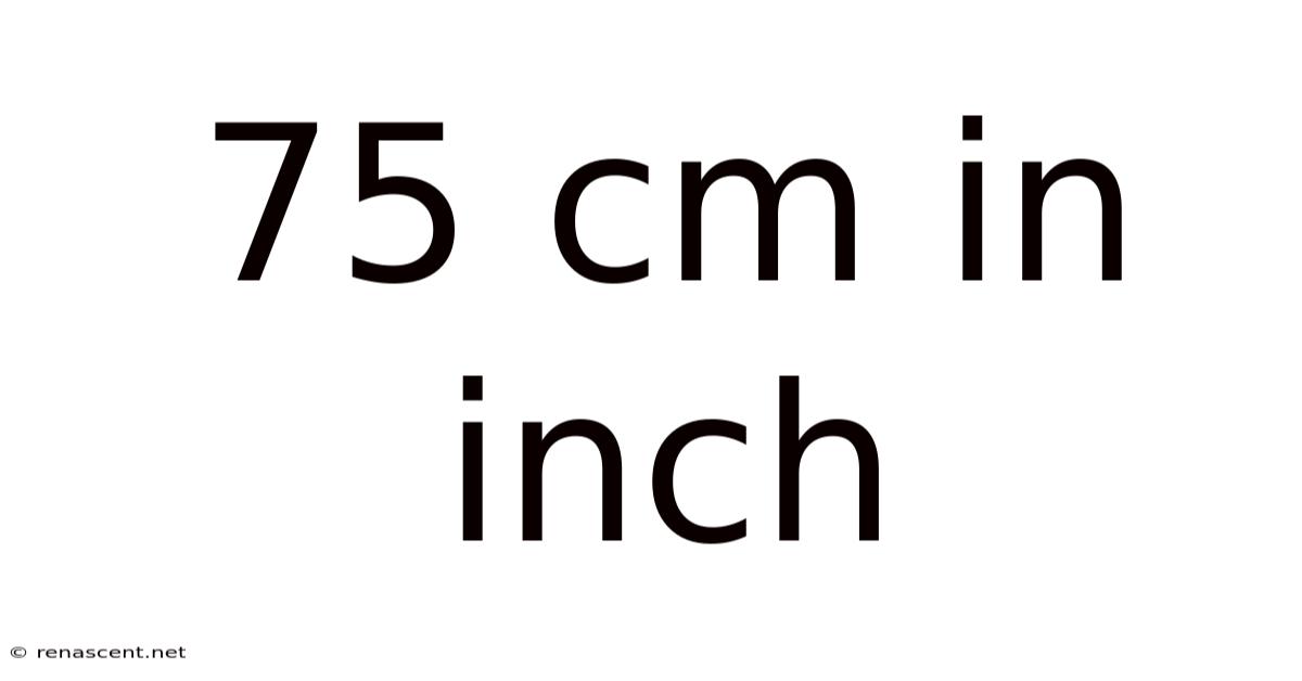 75 Cm In Inch