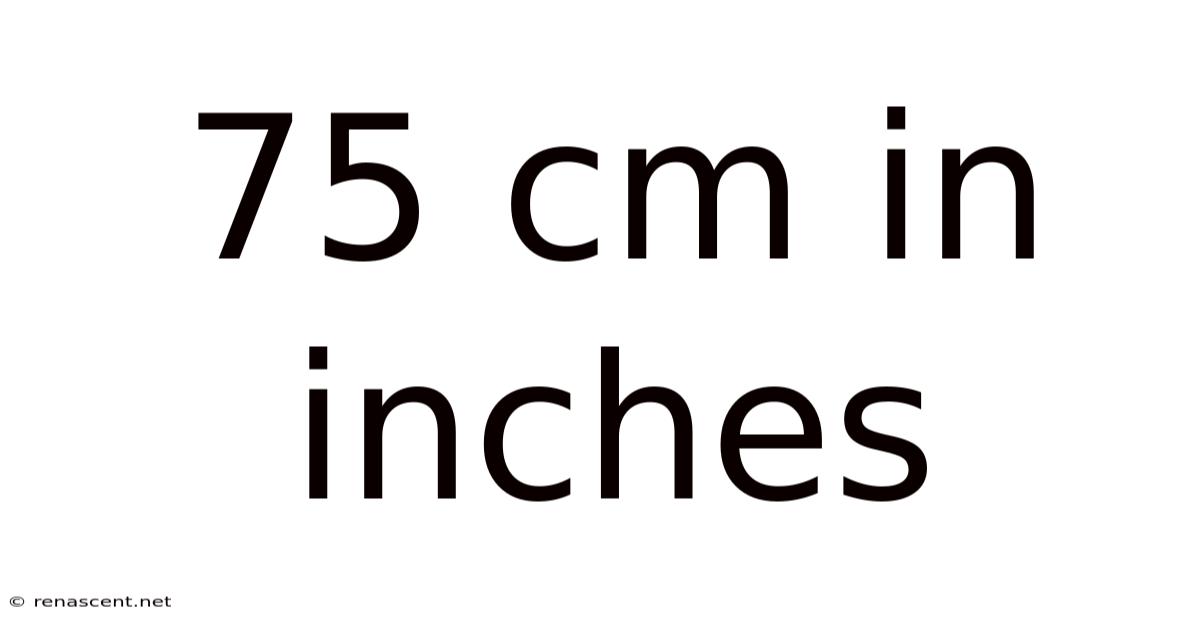 75 Cm In Inches