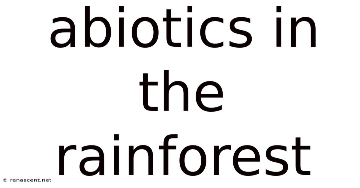 Abiotics In The Rainforest