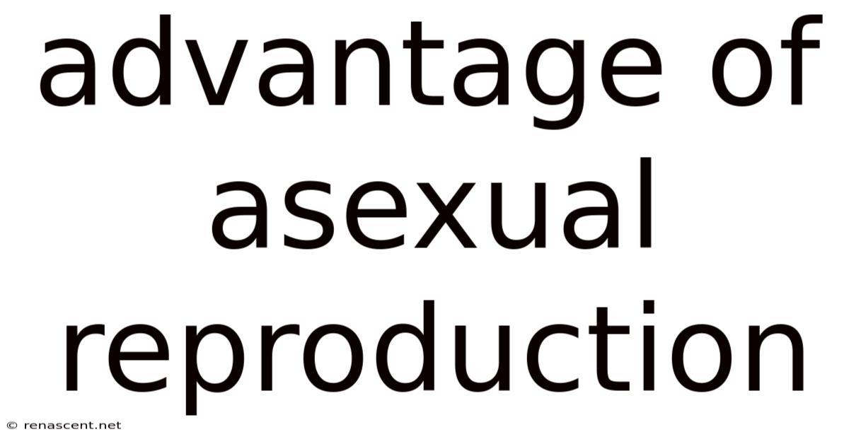 Advantage Of Asexual Reproduction
