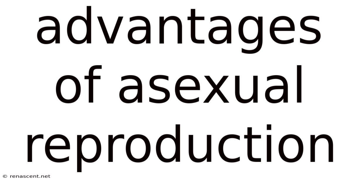 Advantages Of Asexual Reproduction
