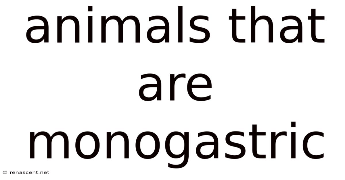 Animals That Are Monogastric