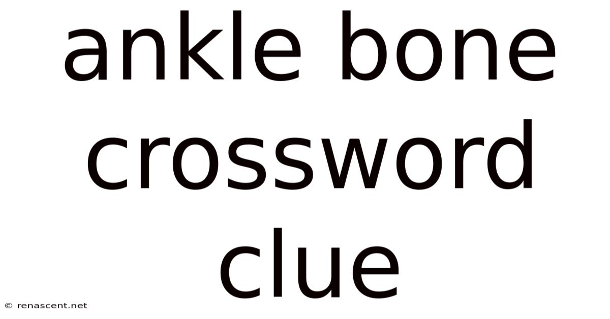 Ankle Bone Crossword Clue
