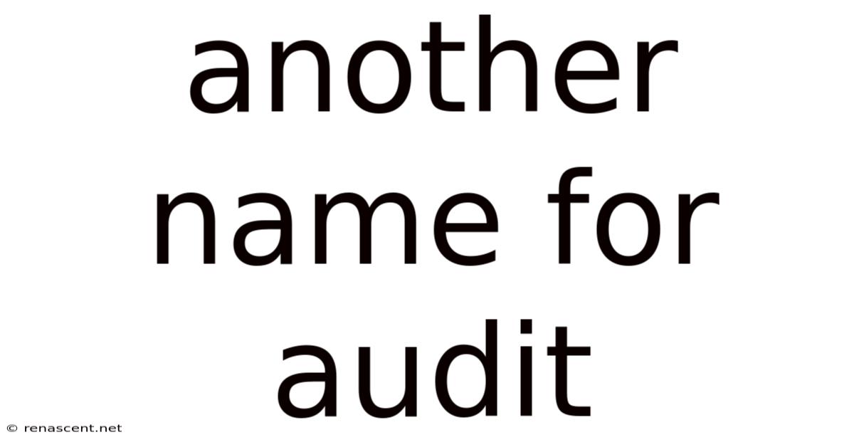 Another Name For Audit