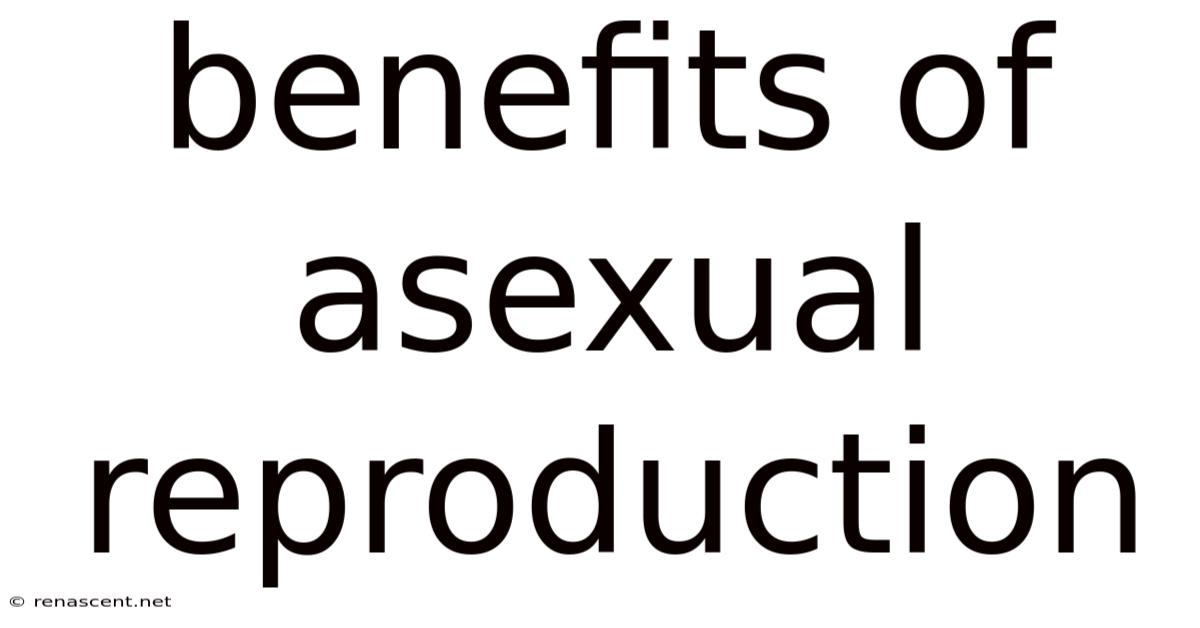 Benefits Of Asexual Reproduction