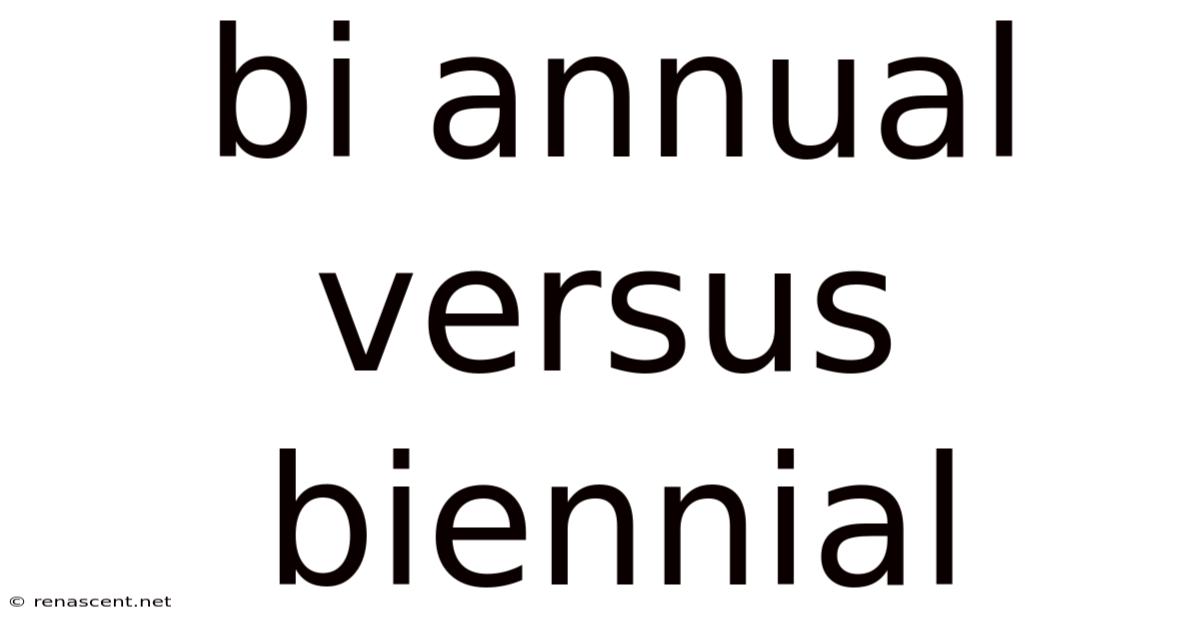 Bi Annual Versus Biennial