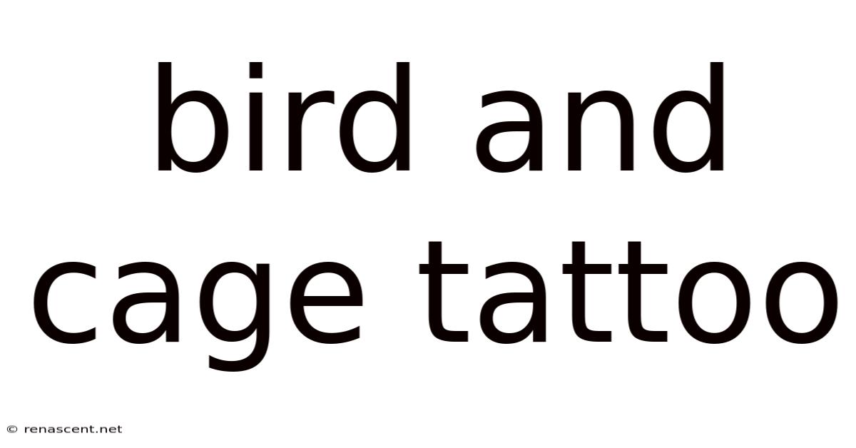Bird And Cage Tattoo