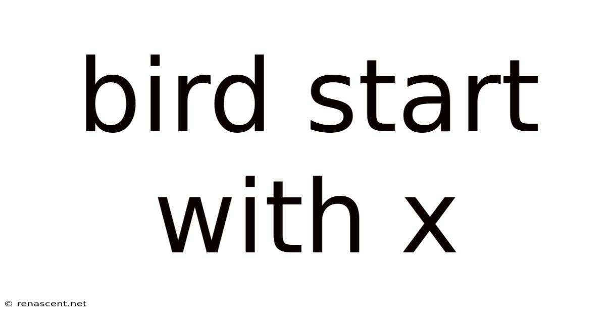 Bird Start With X