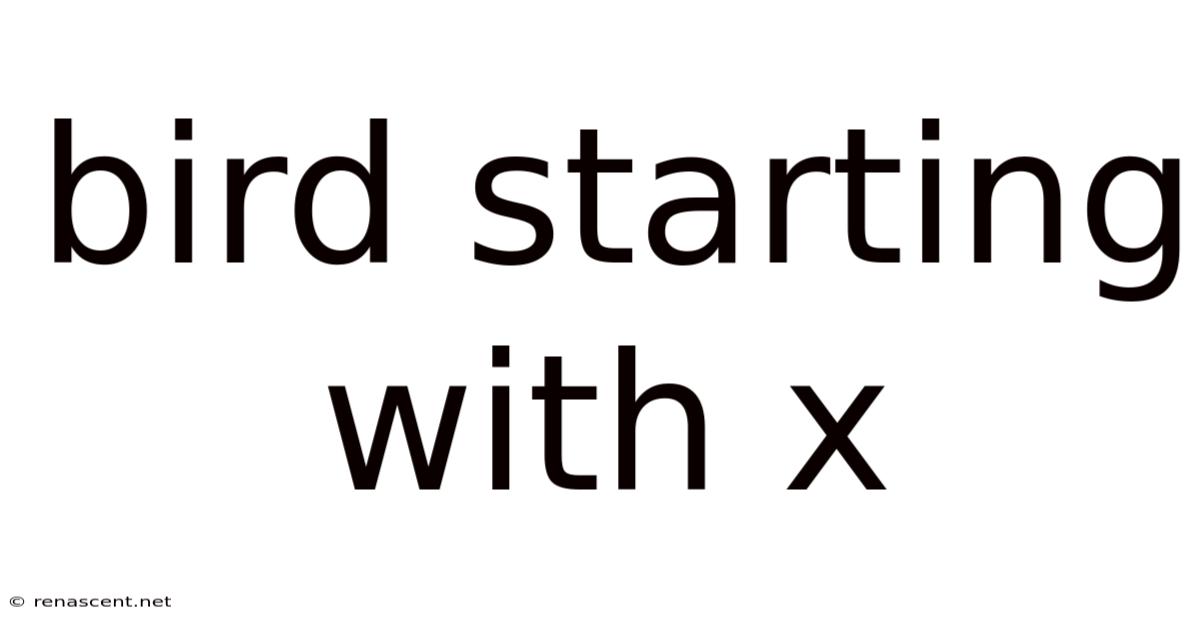 Bird Starting With X