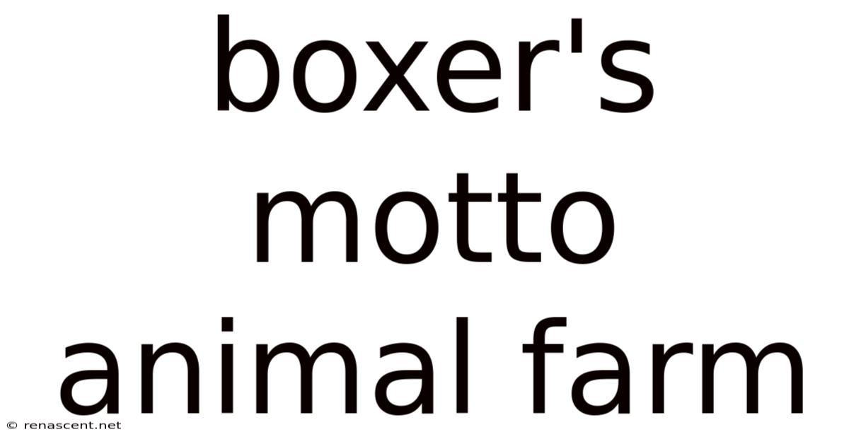 Boxer's Motto Animal Farm