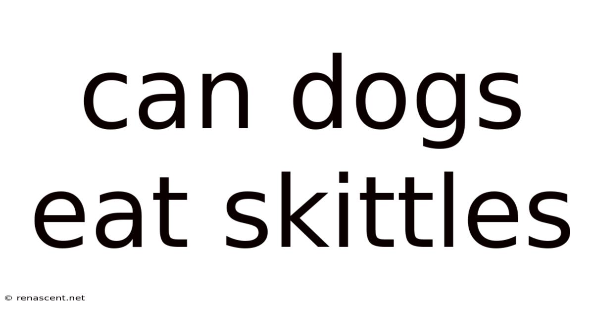 Can Dogs Eat Skittles