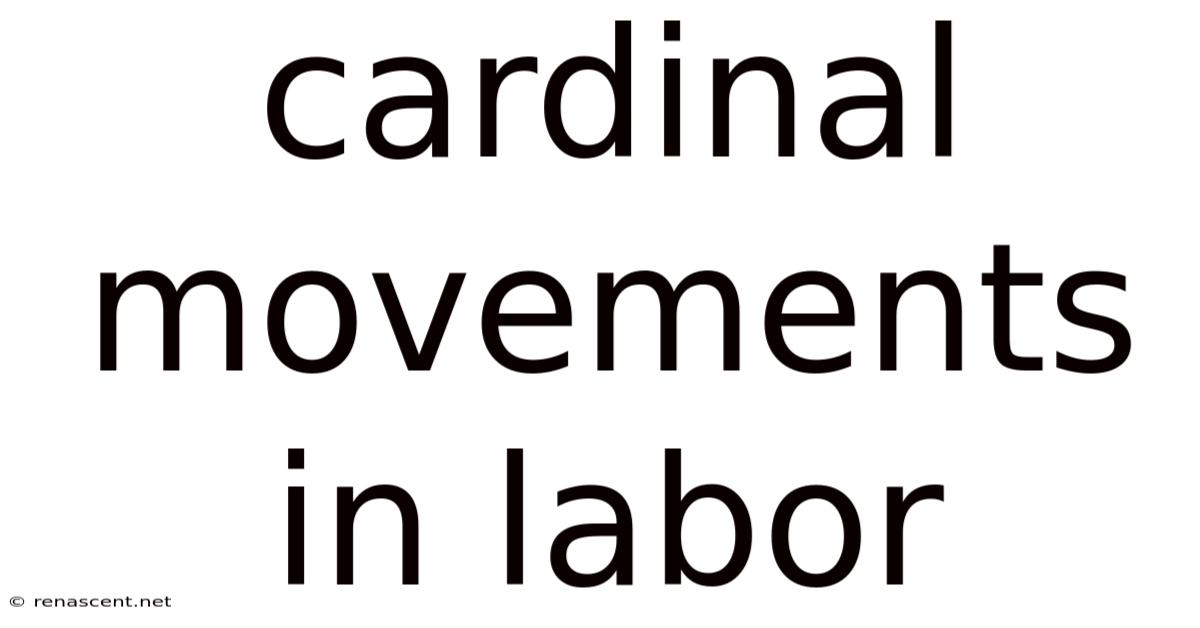 Cardinal Movements In Labor